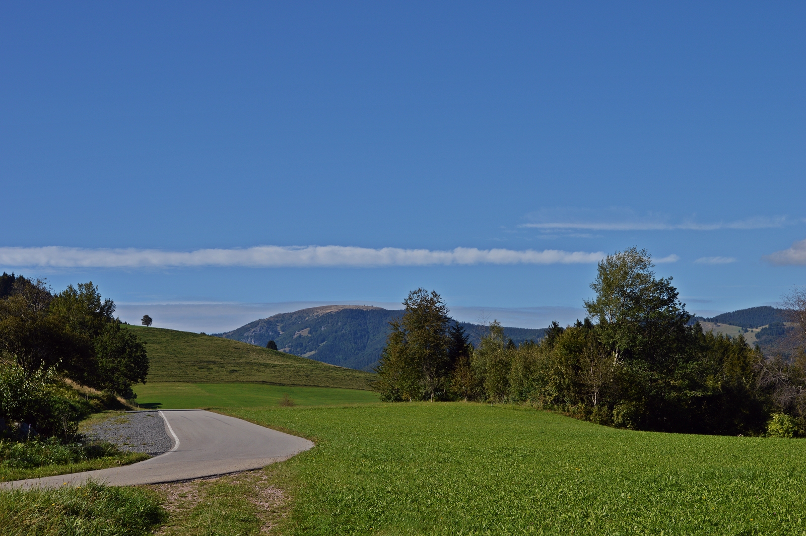 Im Wiesental: Dunstige Täler