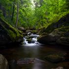 Im wild-romantischen Ilsetal I (Harz)