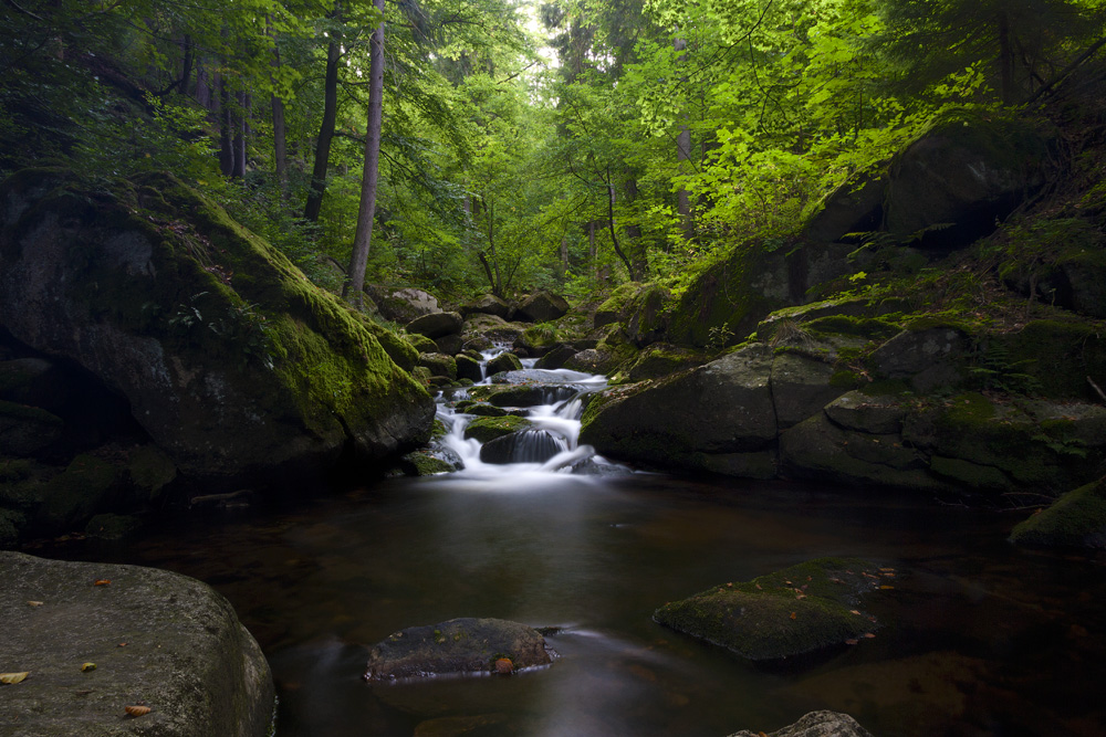 Im wild-romantischen Ilsetal I (Harz)