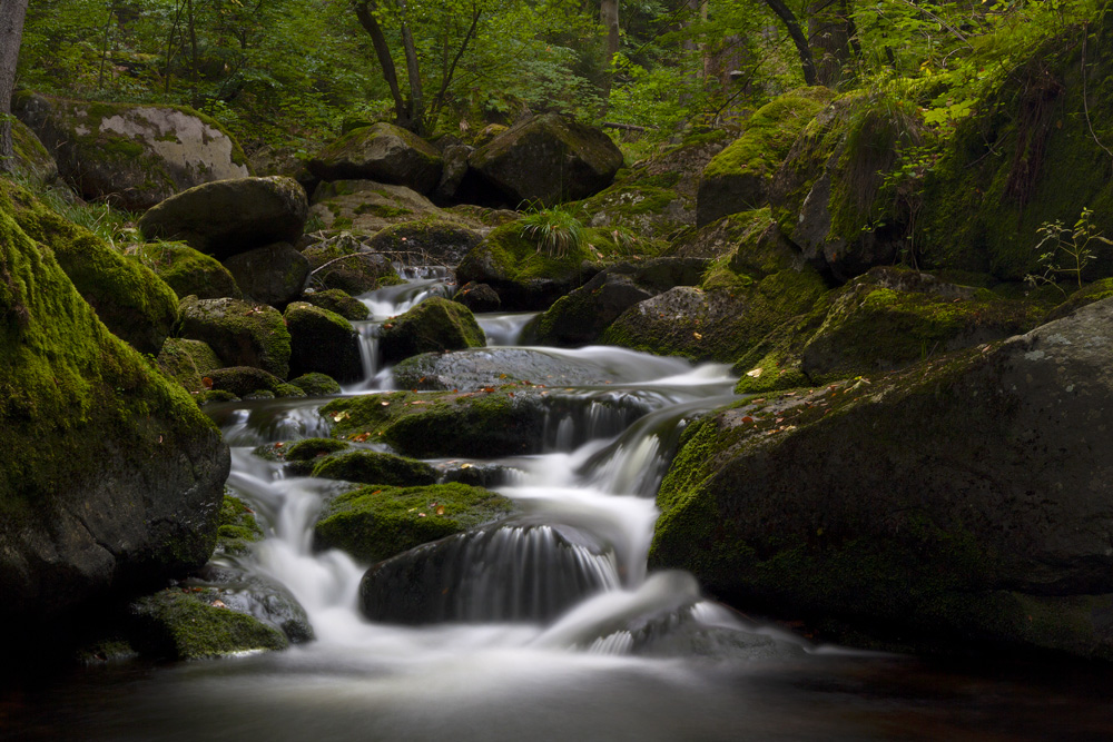 Im wild-romantischen Ilsetal II (Harz)