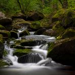 Im wild-romantischen Ilsetal II (Harz)