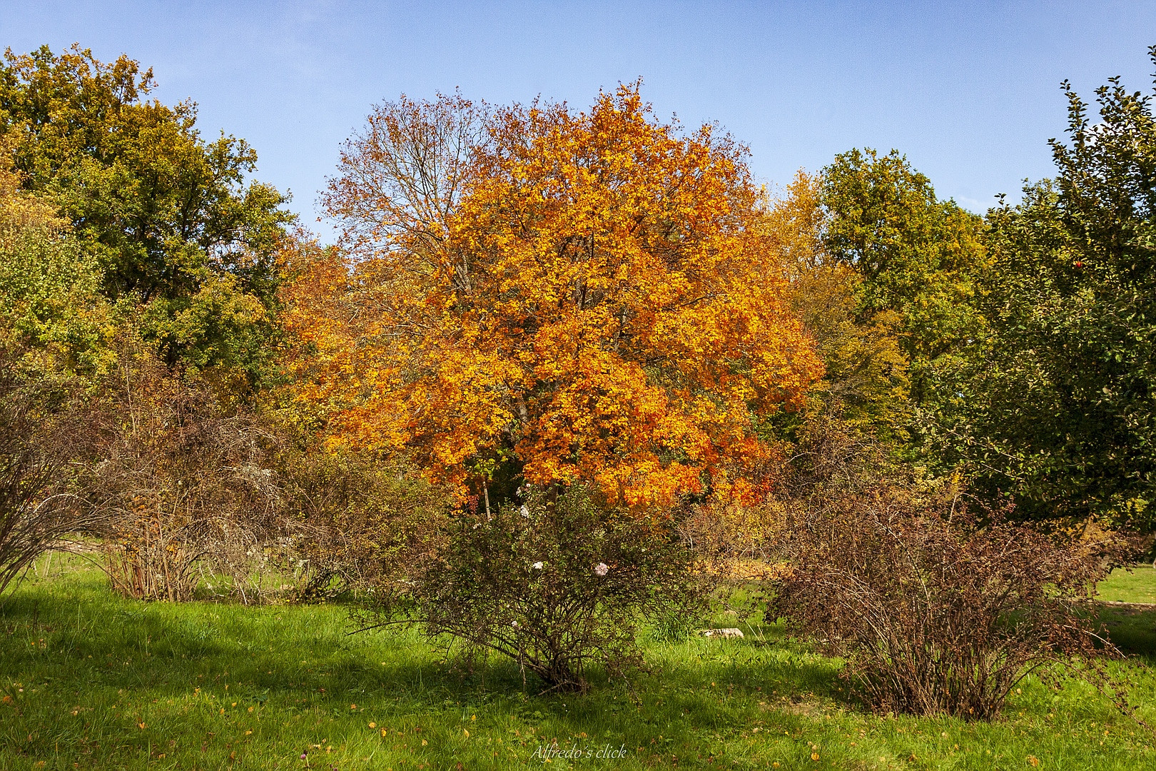 Im wilden Rosengarten