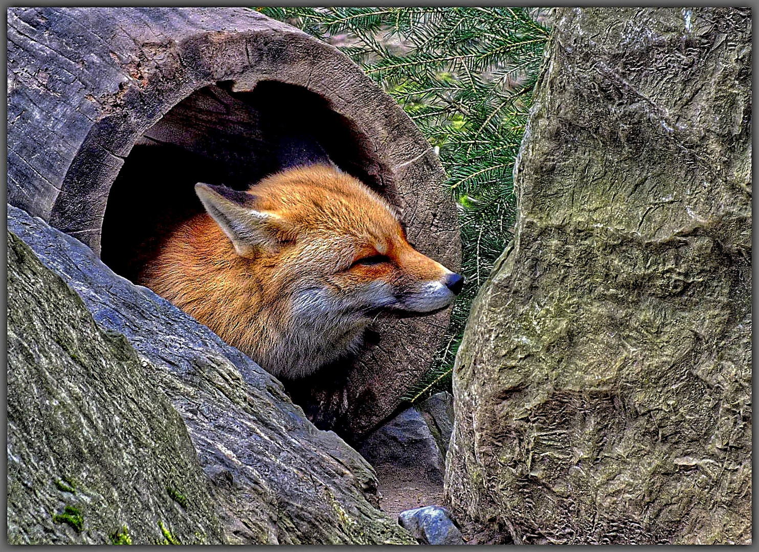 Im Wildpark Bilsteintal