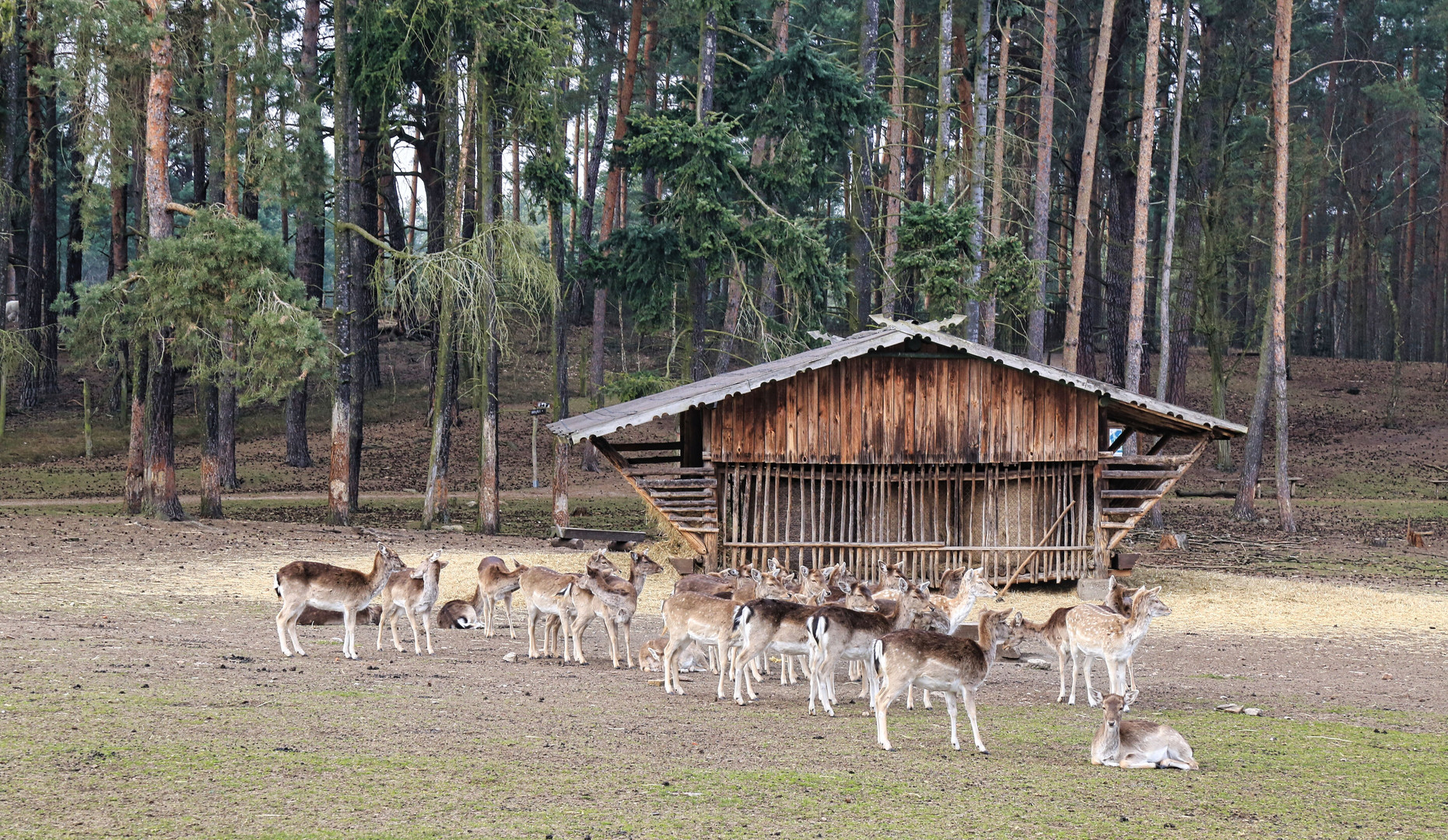 Im Wildpark Johannismühle