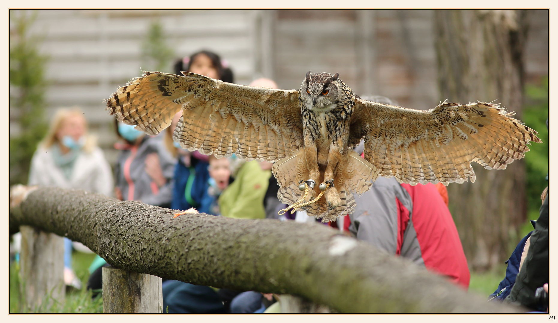 Im Wildpark Johannismühle