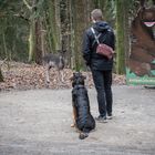 Im Wildpark Schwarze Berge -1