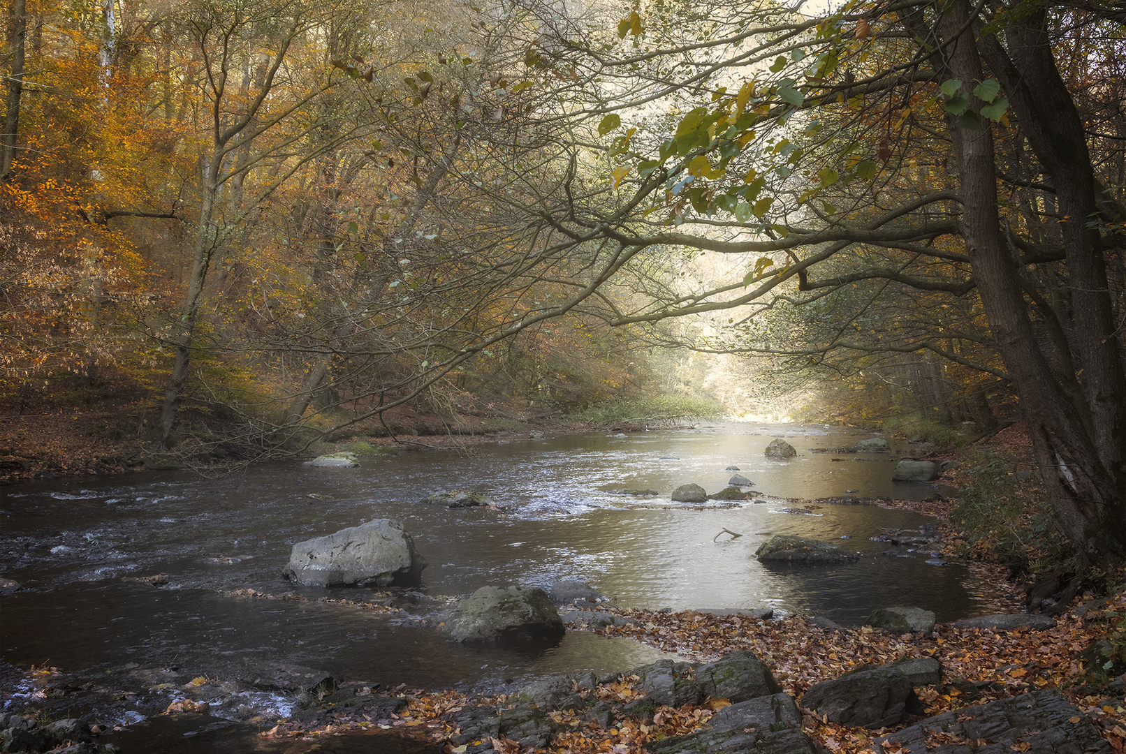 im wildromantischen Bodetal