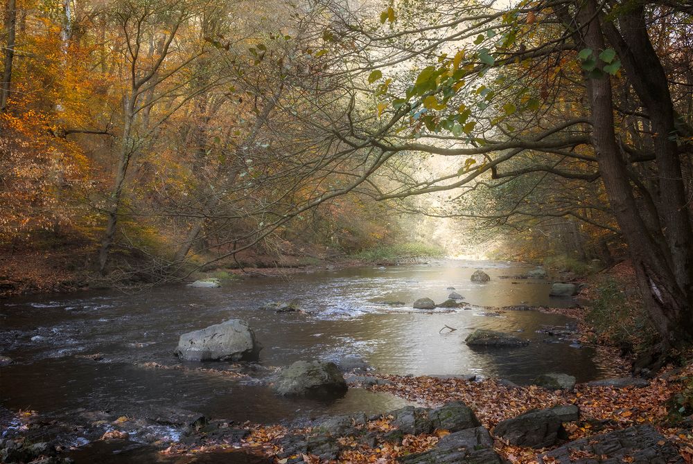 im wildromantischen Bodetal