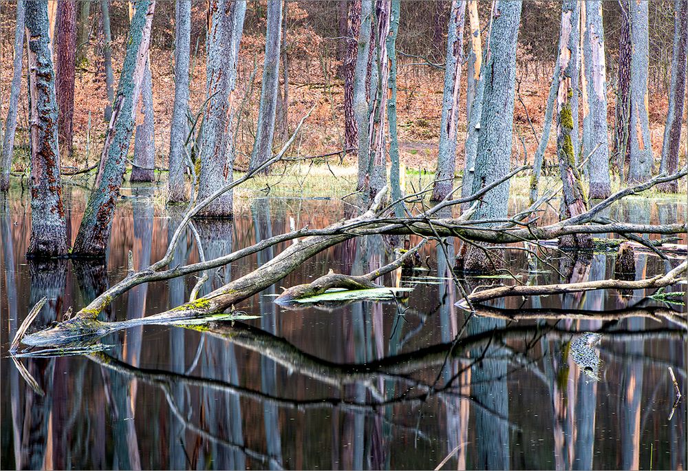 im wildromantischen Brieseetal