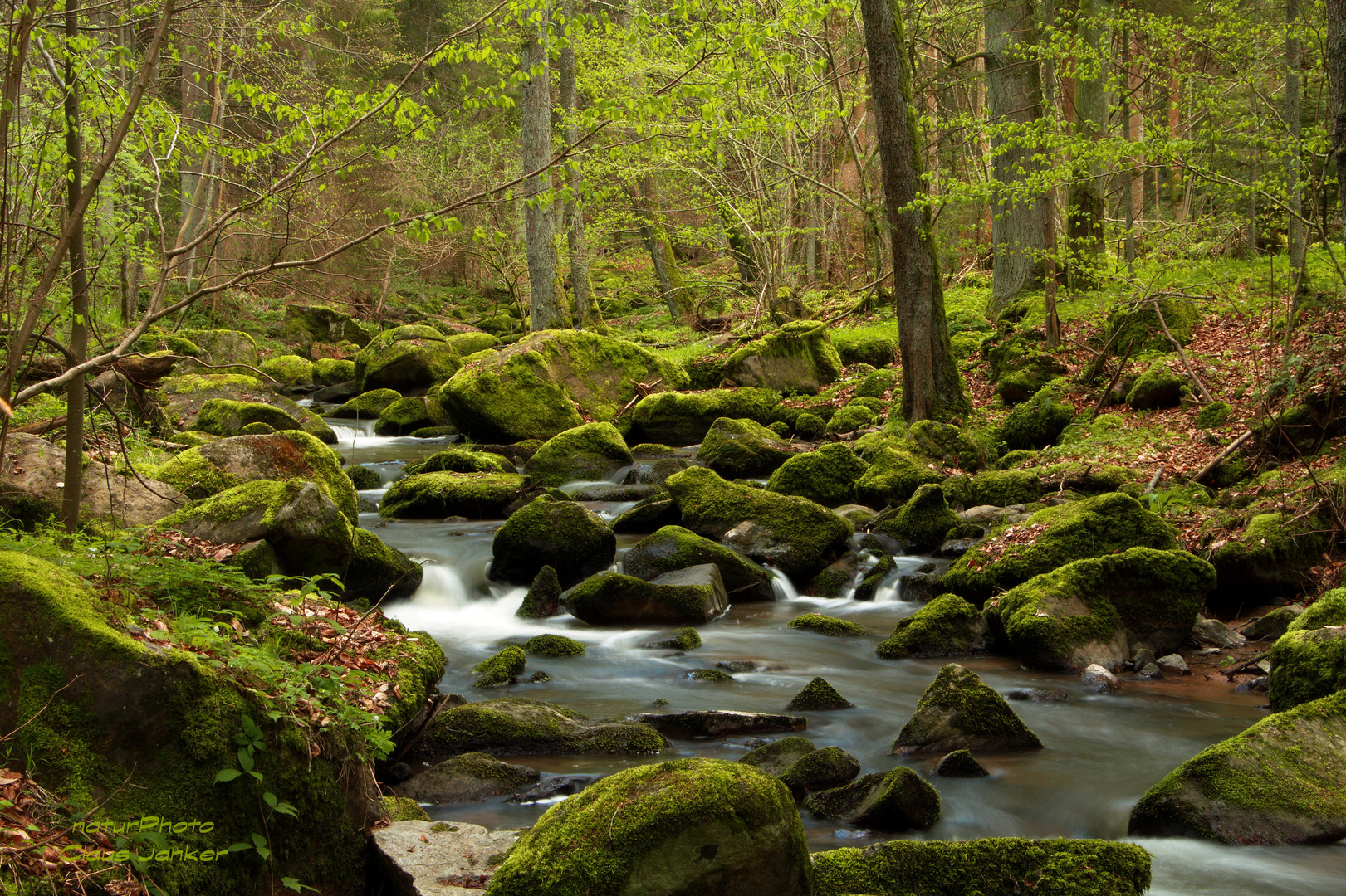 Im wildromantischen Otterbachtal