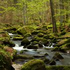 Im wildromantischen Otterbachtal