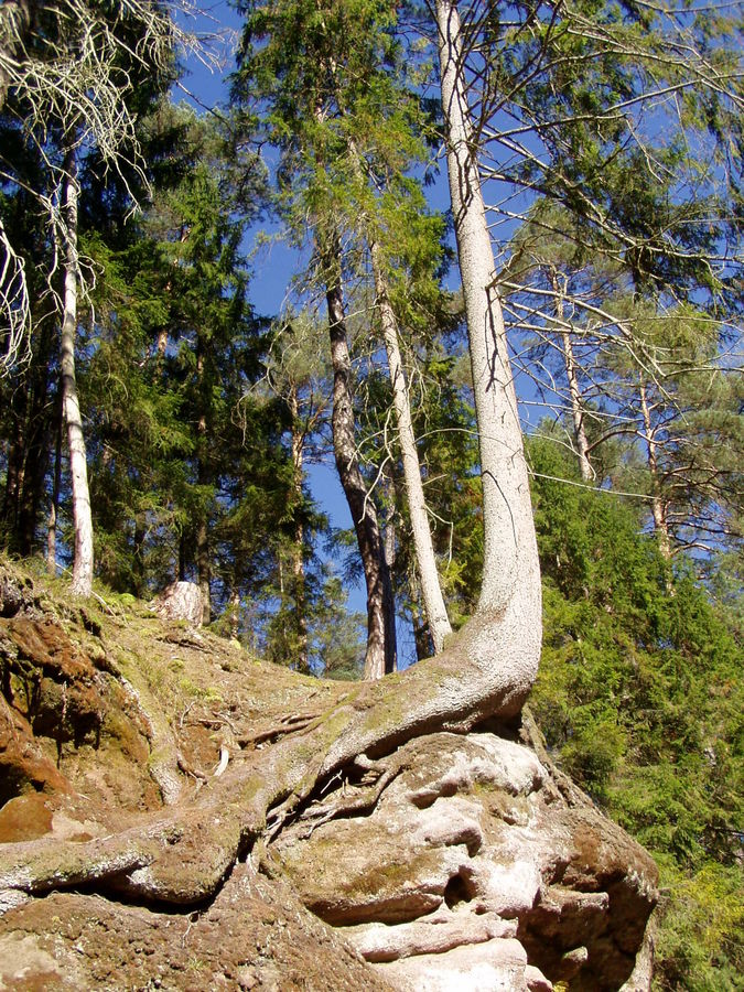 Im wildromantischen Schwarzachtal bei Nürnberg