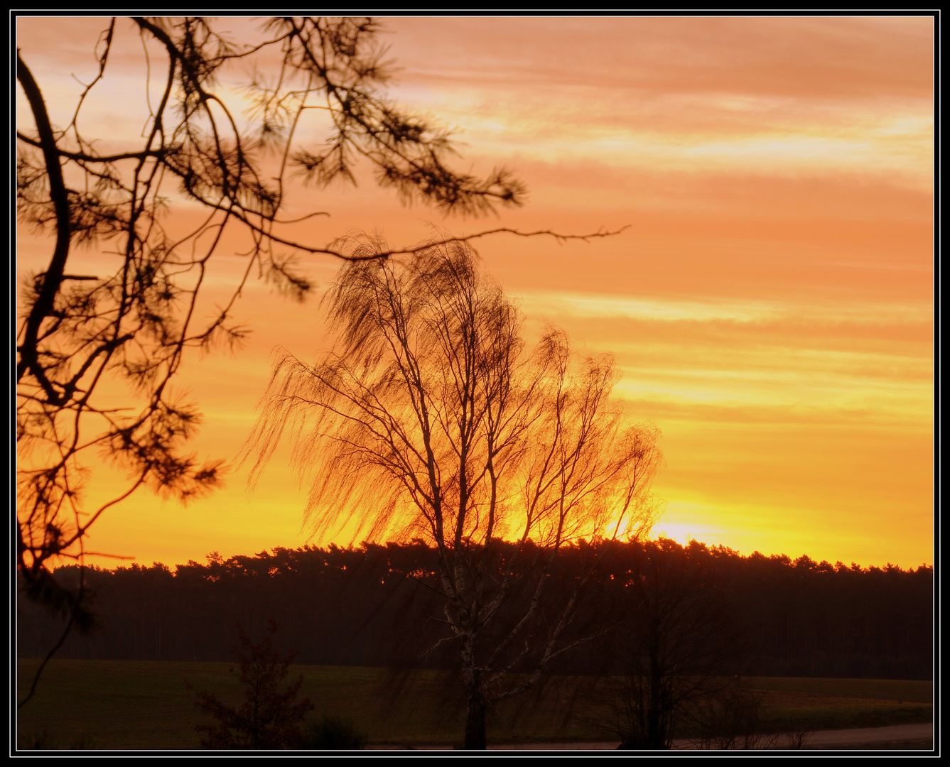 Im Wind am Morgen 