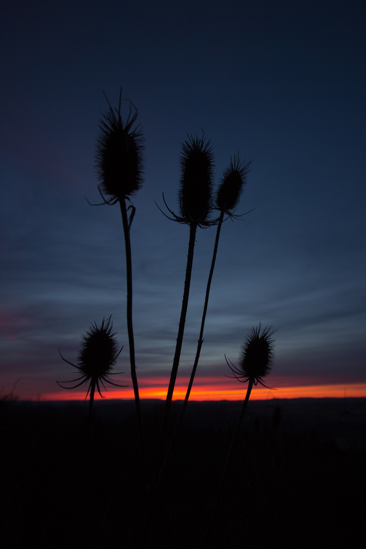 Im Wind des Sonnenuntergangs