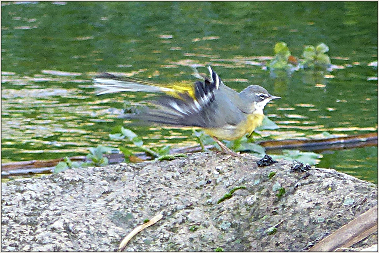 Im Windkanal