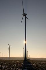 Im Windpark