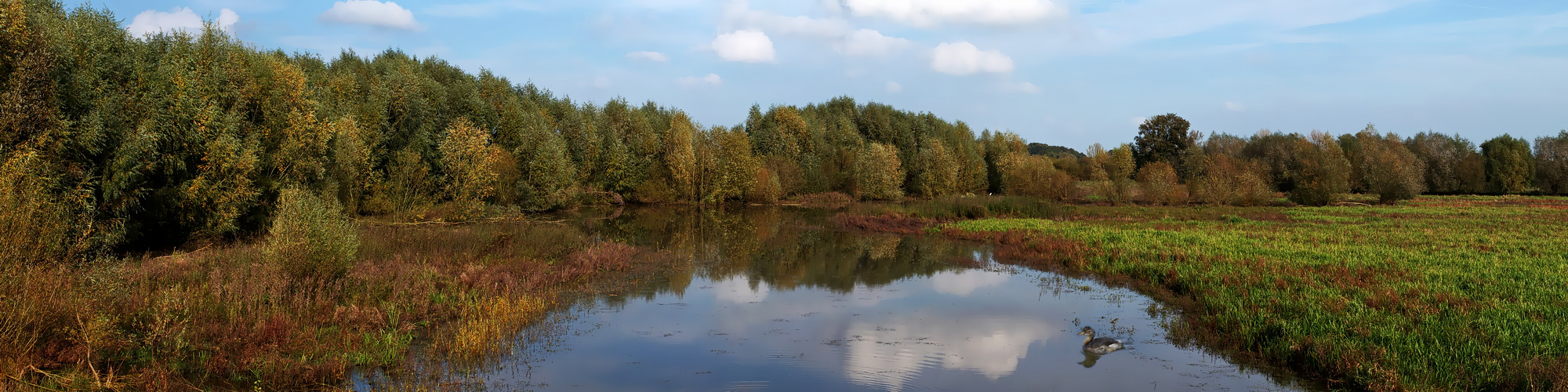 Im Winkel(Nähe Lippborg)