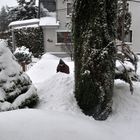 Im Winter 2010