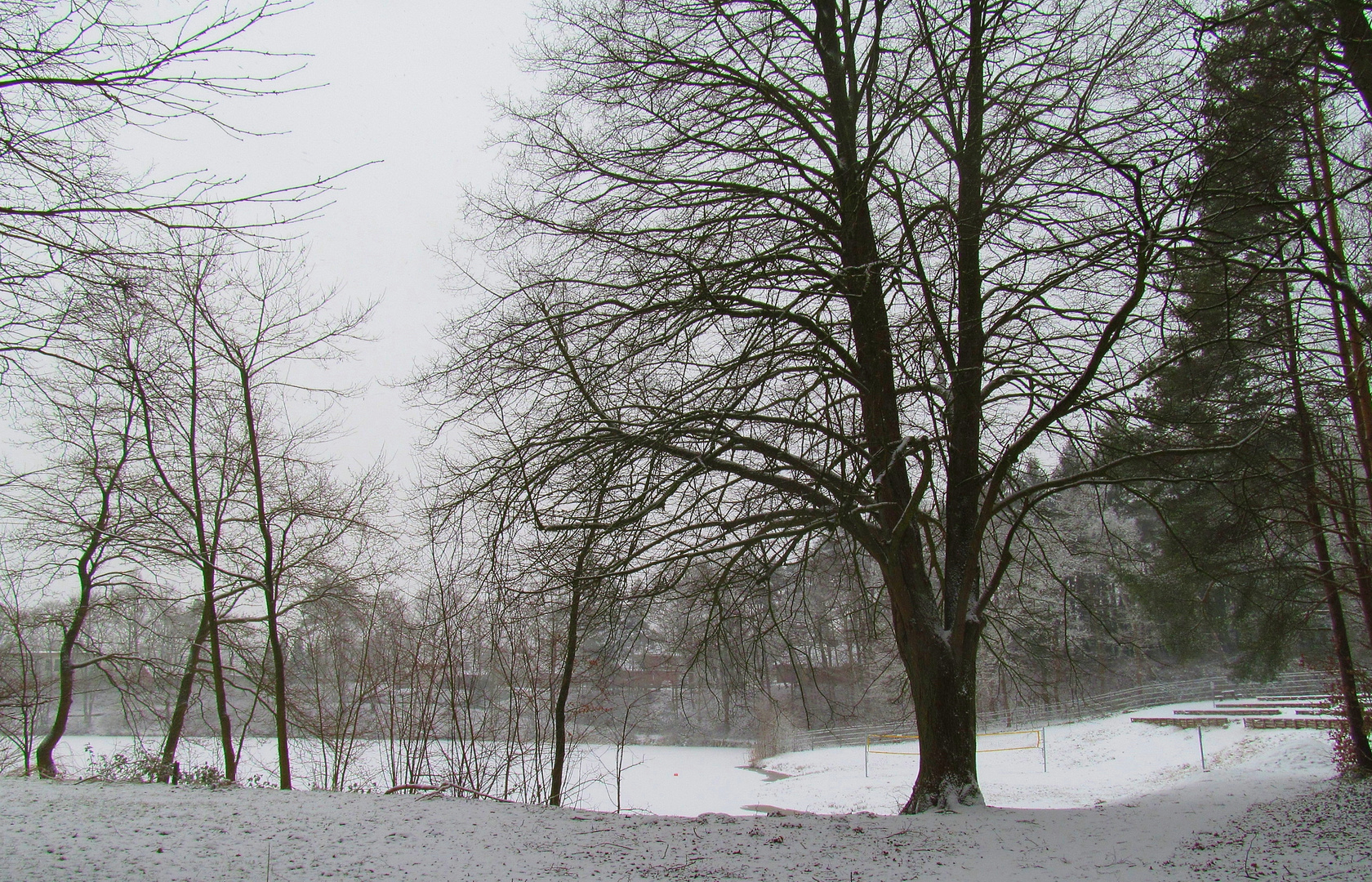 im Winter am Badesee ... 