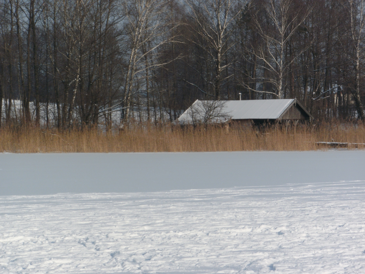 Im Winter am See