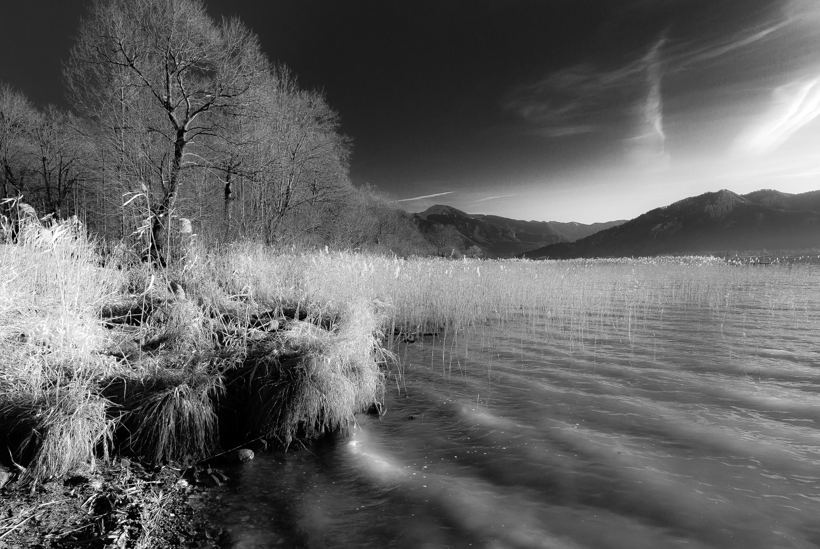 im "Winter" am See