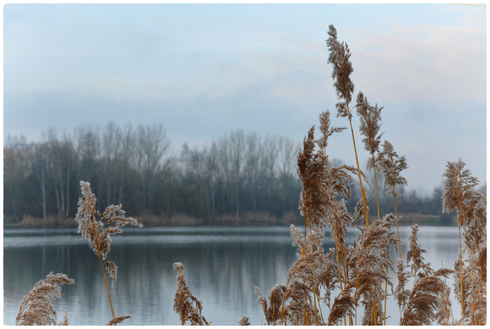 Im Winter am See