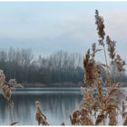 Im Winter am See