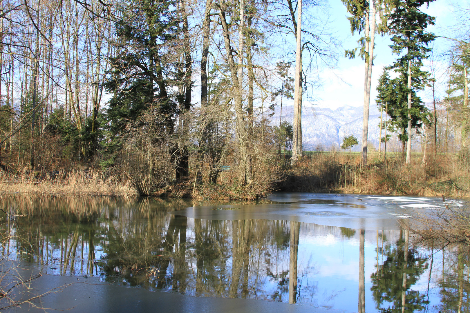 Im Winter am Weiher