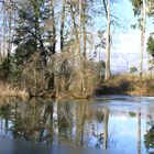 Im Winter am Weiher