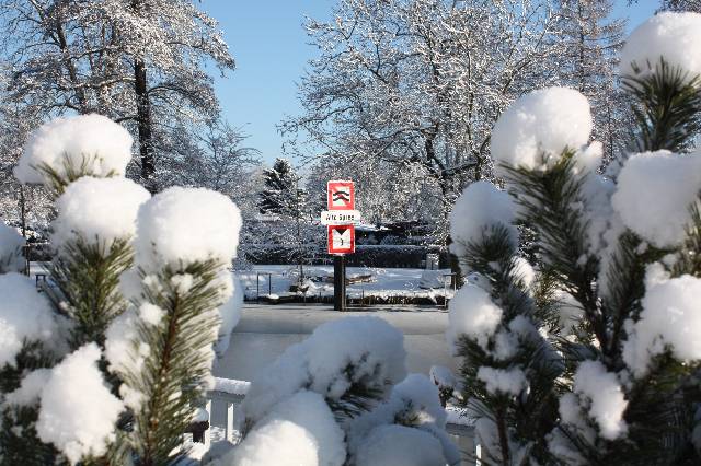 Im Winter an der Spree