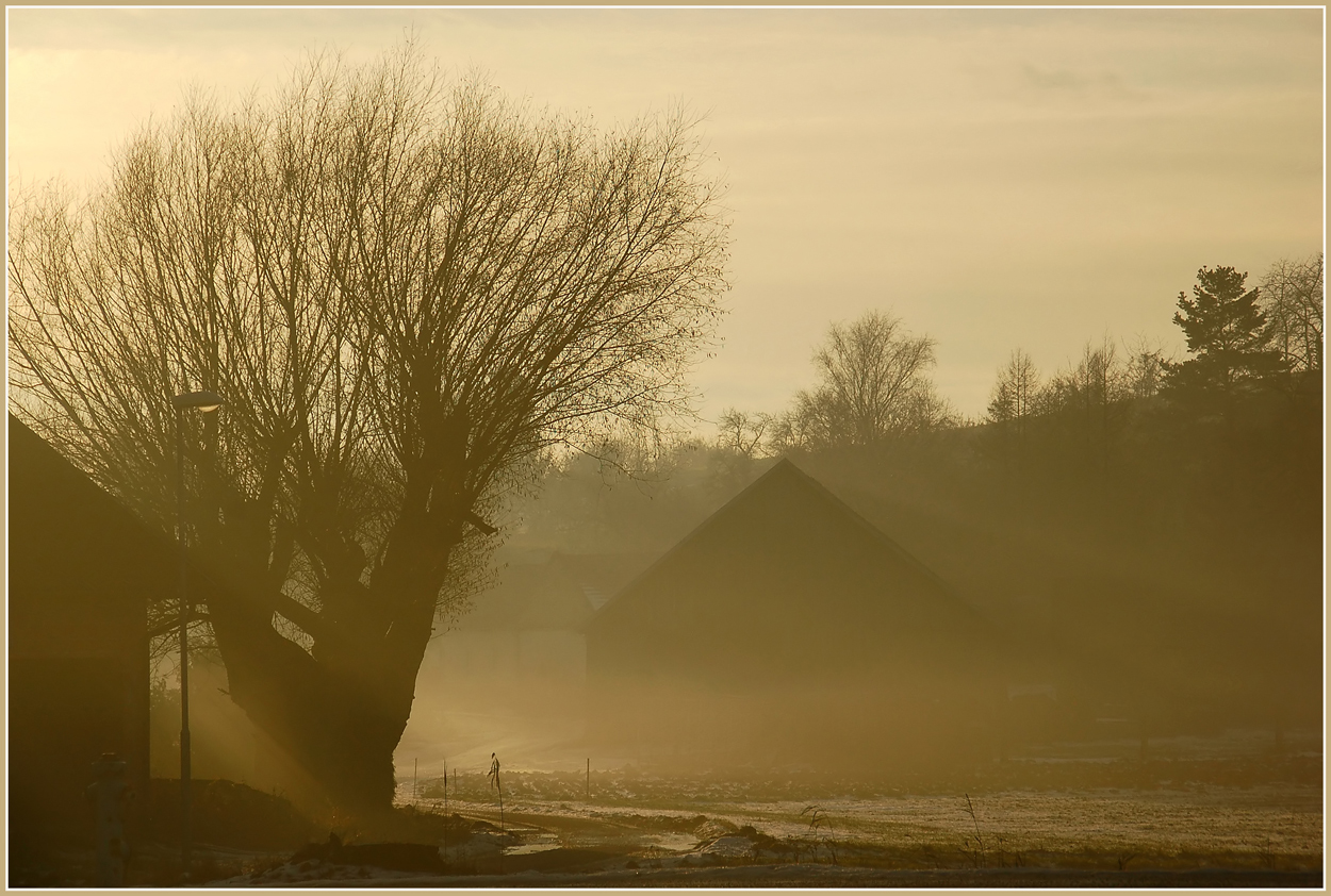 Im Winter - Gegenlicht  *2