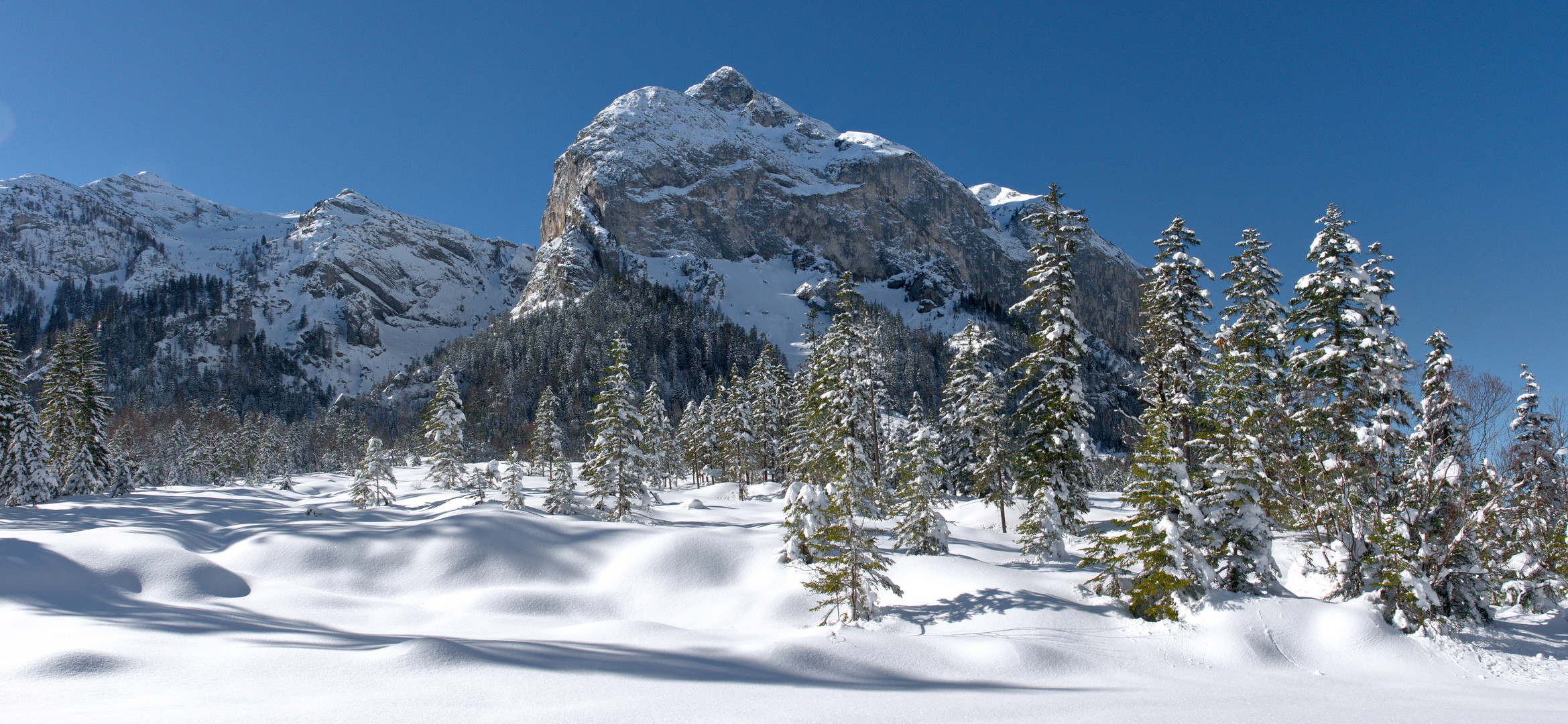 Im Winter Gewand