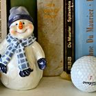 Im Winter Golf oder doch lieber lesen im warmen Zimmer?