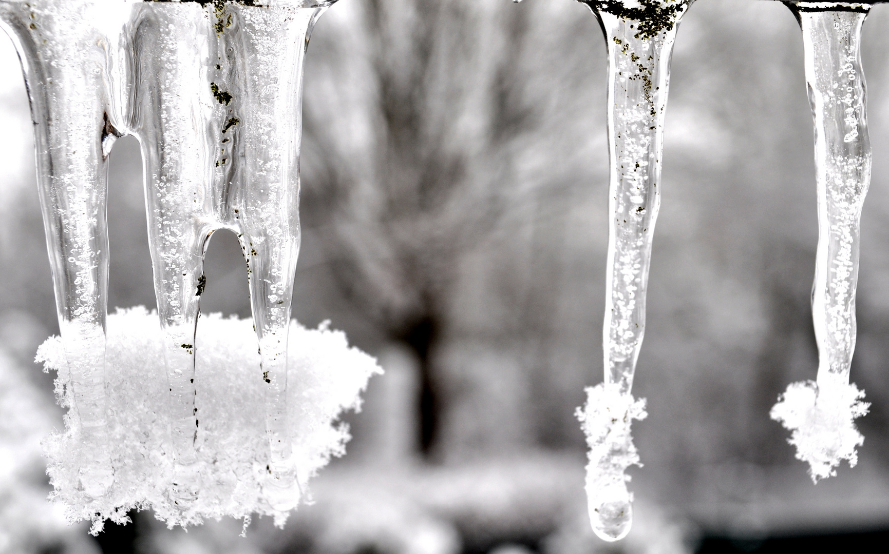 Im Winter hält die Natur ihren Schönheitsschlaf.