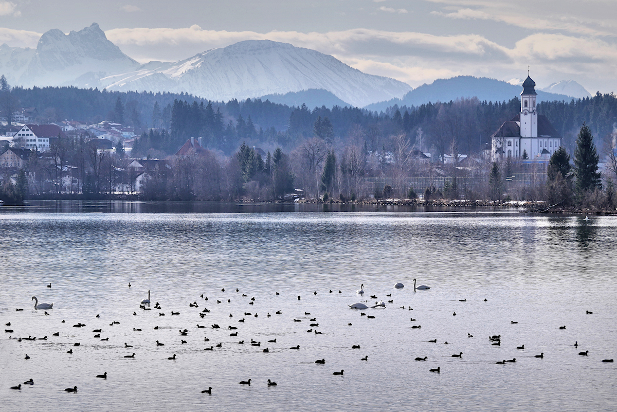 im Winter im Allgäu