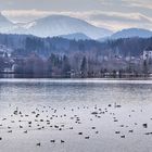 im Winter im Allgäu