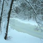 Im Winter - Märchenwald