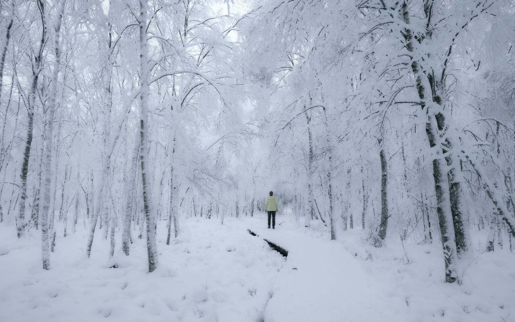 Im Winter Märchenwald