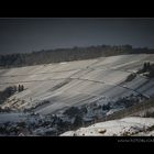 Im Winter mitten in den Weinbergen