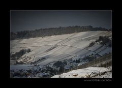 Im Winter mitten in den Weinbergen