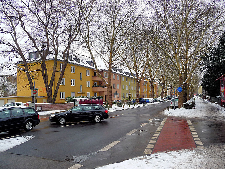 Im Winter nach Farben gesucht und gefunden