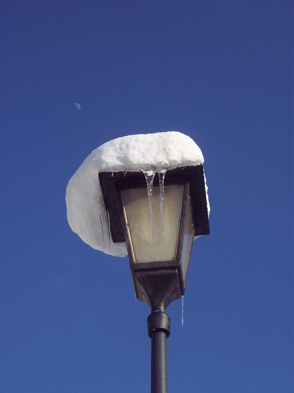Im Winter sollte man eine Mütze aufsetzen :-) by Peewie