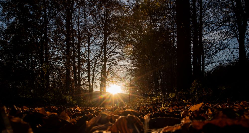 Im Winter steht die Sonne tief