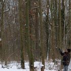 im Winter trifft Franz die Bäume viel besser:-)))