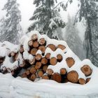 Im Winter Wald abgerufen Holz, Oslo Winter Park