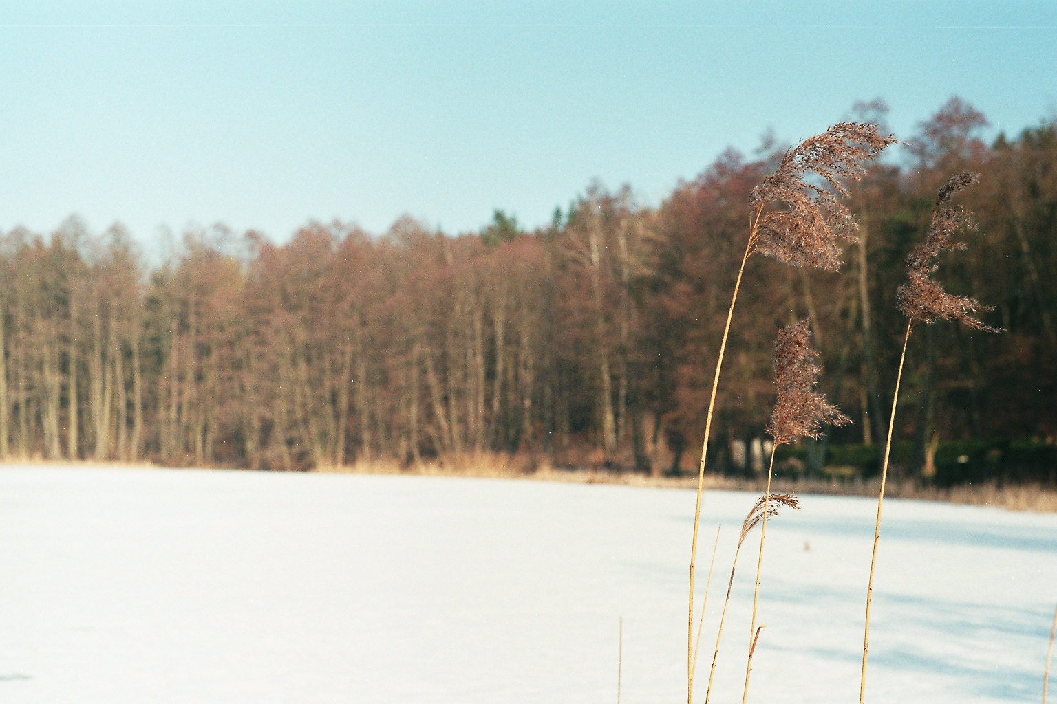 Im Winter weißer "Schwarzer See"