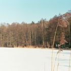 Im Winter weißer "Schwarzer See"