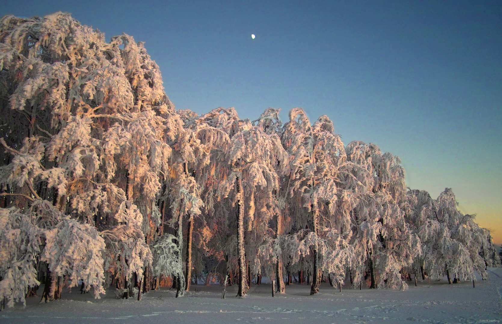 im Winterabendlicht