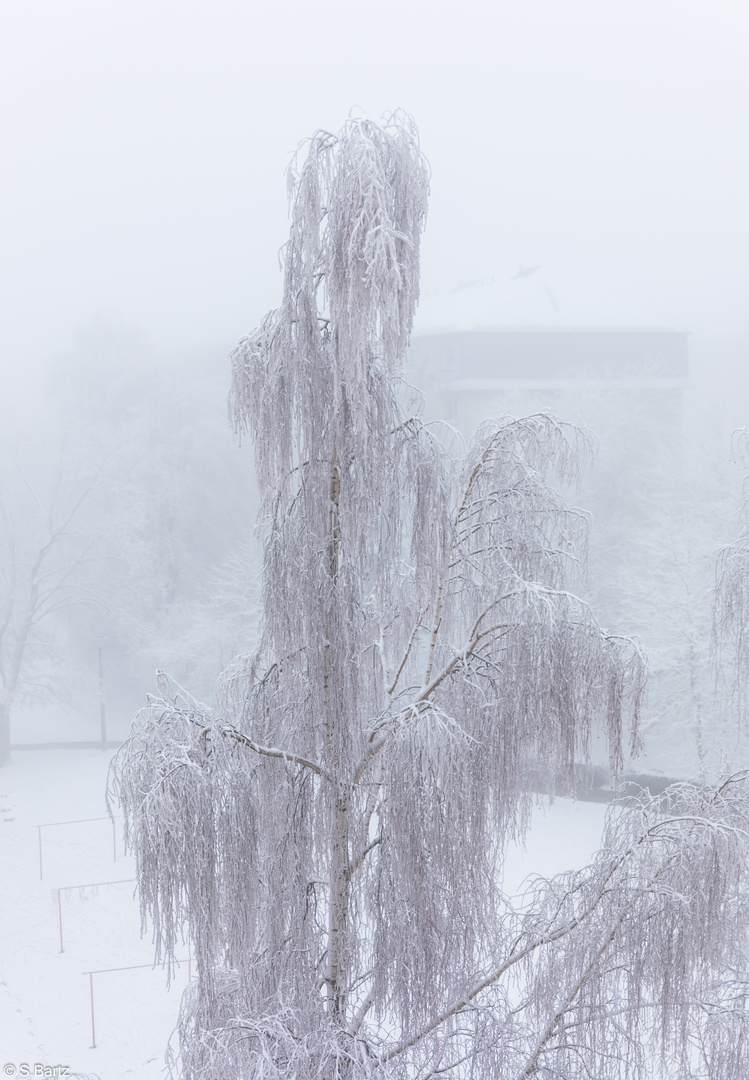 Im Winterkleid (1)