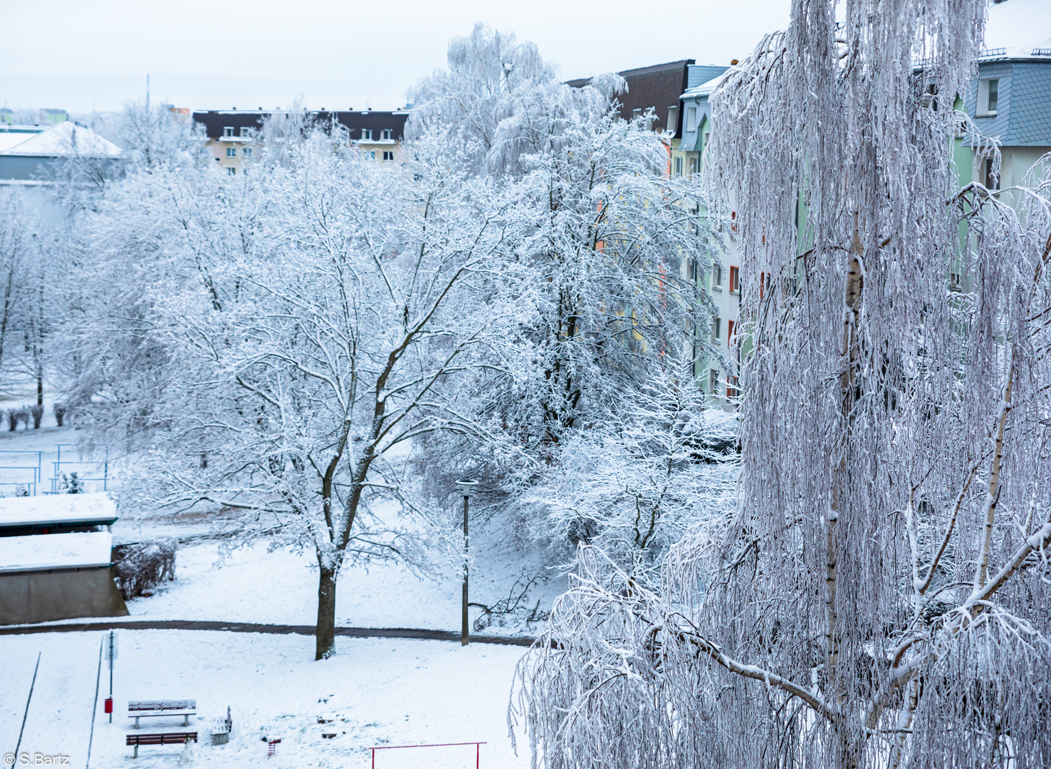 Im Winterkleid (2)